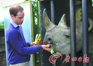 英国威廉王子吁保护动物又去打猎被批言行不一