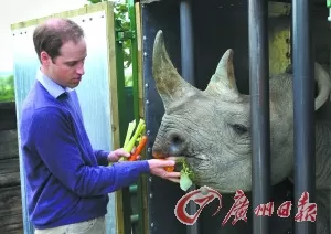 英国威廉王子吁保护动物又去打猎被批言行不一
