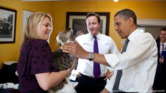 Großbritannien Bildergalerie Downing-Street-Kater Larry