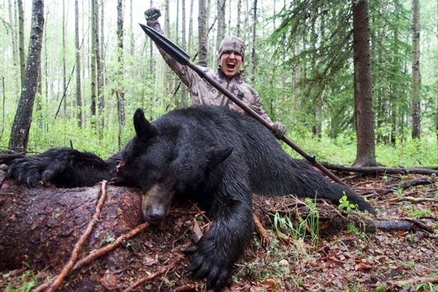 Josh Bowmar fitted a home-made speared with a Go Pro camera to hunt and kill a black bear