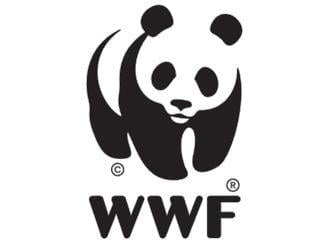 WWF Logo World Wide Fund for Nature