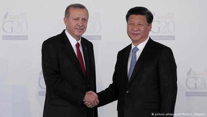 G-20-Gipfel in Antalya Erdogan und Xi (picture-alliance/AP Photo/L. Pitarakis)