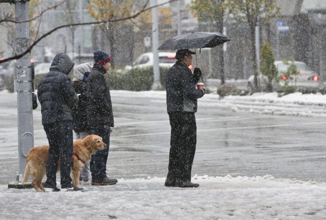 大溫地區未來幾日的天氣將會十分寒冷，圖為溫哥華市民冒雪出行。（新華社）