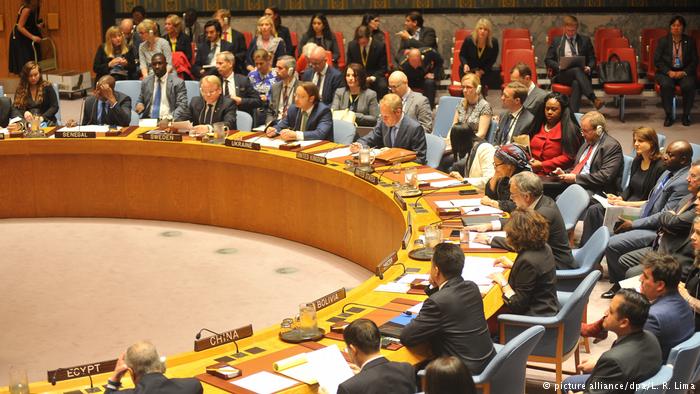 USA UN Sicherheitsrat (picture alliance/dpa/L. R. Lima)