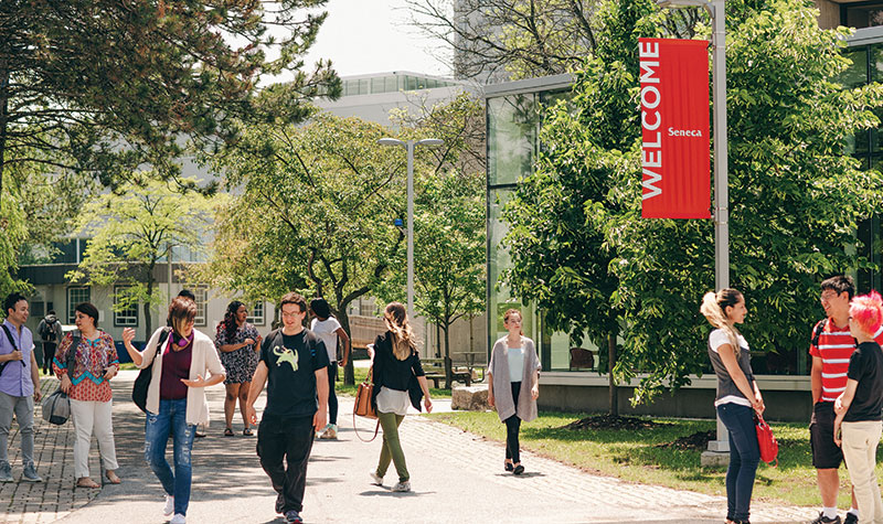 “Seneca College”的图片搜索结果