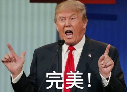 Image result for 特朗普表情包