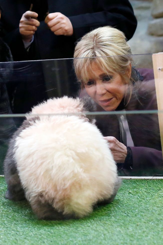 法国总统夫人逗弄熊猫宝宝。(Getty Images)