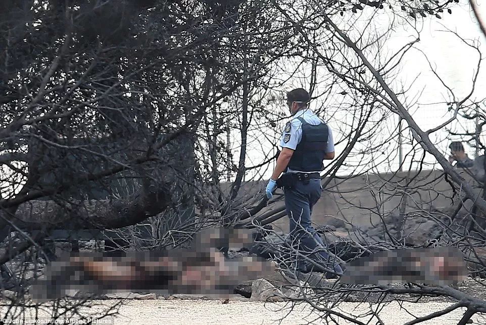 74人被活活烧死！希腊度假胜地发生惨烈火灾，现场宛若庞贝...