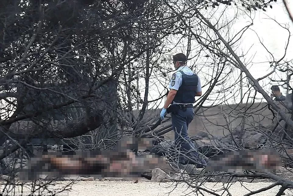 74人被活活烧死！希腊度假胜地发生惨烈火灾，现场宛若庞贝...