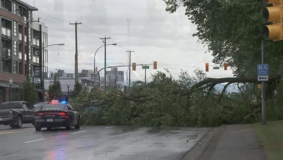 警报！几小时后 暴风雨将袭卷大温！60km/h强风 100mm豪雨 今晚早点回家