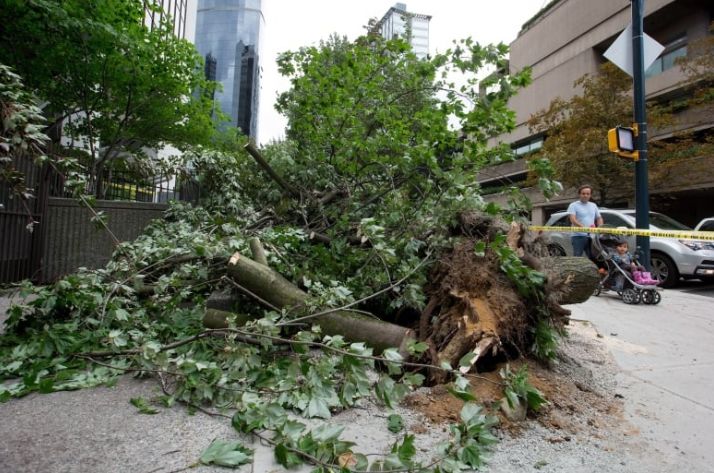 警报！几小时后 暴风雨将袭卷大温！60km/h强风 100mm豪雨 今晚早点回家