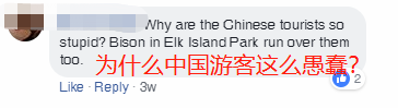 加拿大这种凶猛巨兽千万别碰 大爷贾斯伯公园零距离拍摄险些丧命