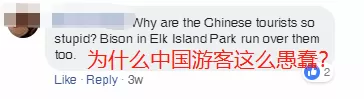 加拿大这种凶猛巨兽千万别碰 大爷贾斯伯公园零距离拍摄险些丧命