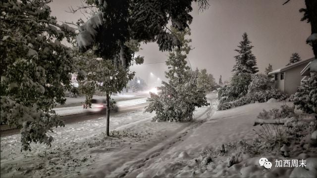 心疼！史上最强暴雪 卡尔加里全市瘫痪！BC省也遭殃 今晚开始下雪！