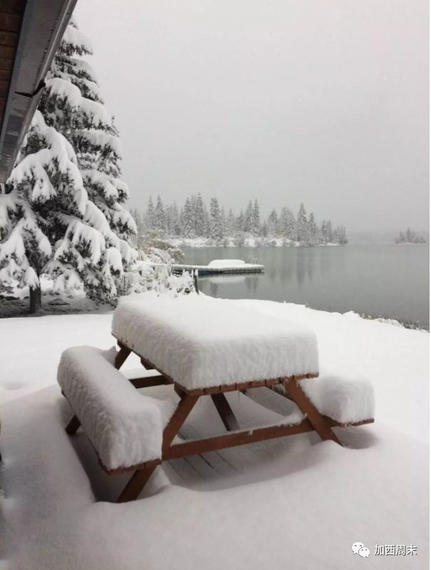 心疼！史上最强暴雪 卡尔加里全市瘫痪！BC省也遭殃 今晚开始下雪！