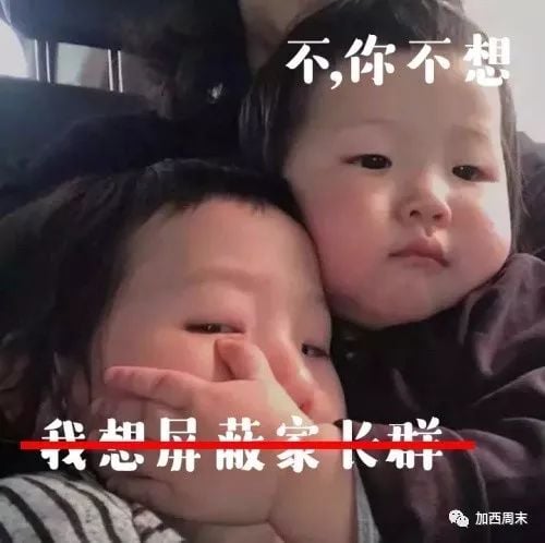 开豪车送孩子竟然被踢！看什么宫斗剧 进这个群就够了 加拿大家长偷着乐