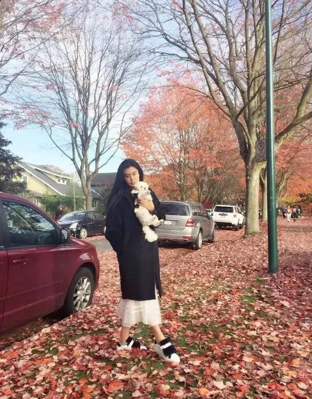 惊艳！王祖贤枫叶下玩自拍 美哭网友 51岁的她在温哥华活成了这样
