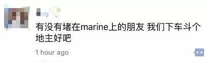 全城大乱! 行人被撞死 Marine Dr堵5小时! 高速连发车祸 司机被逼上应急道