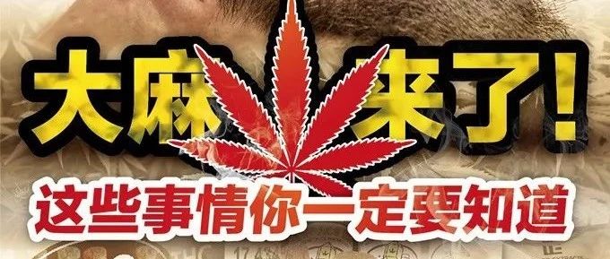 大麻来了！这些事情你一定要知道