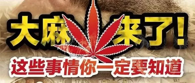 大麻来了!这些事情你一定要知道