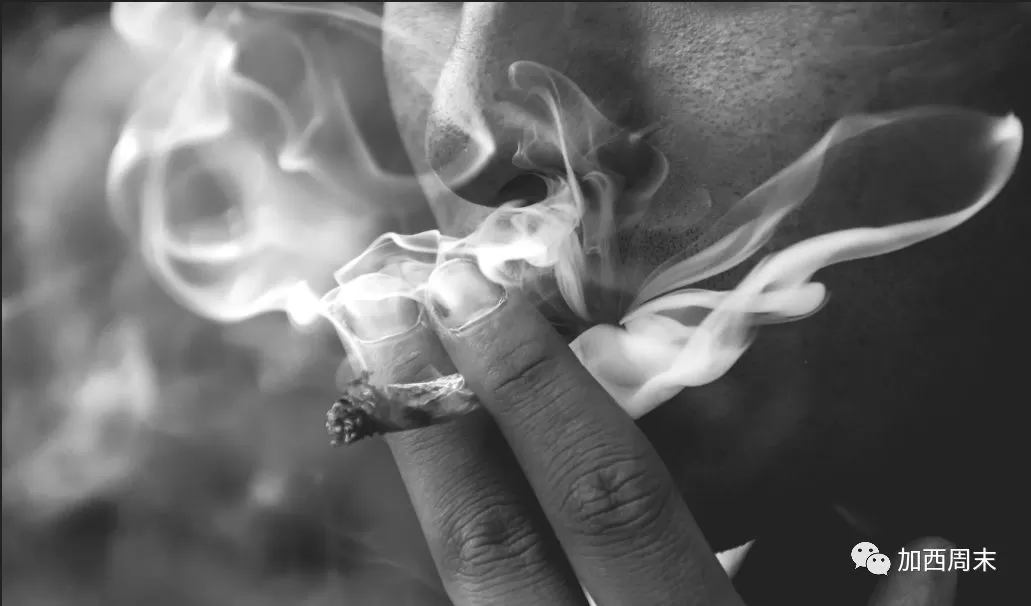 大麻来了!这些事情你一定要知道