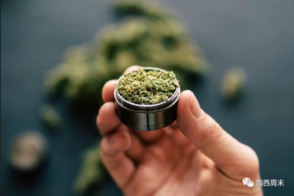 大麻来了!这些事情你一定要知道