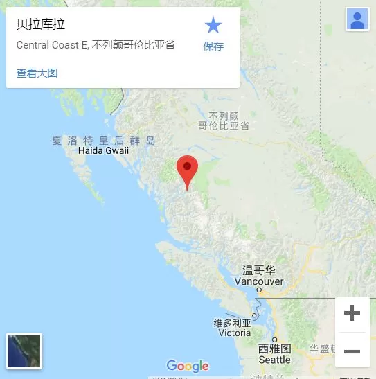 恐怖！BC一家出门遇4头熊！父亲拼死保护孩子 惨遭灰熊追杀 视频太吓人！