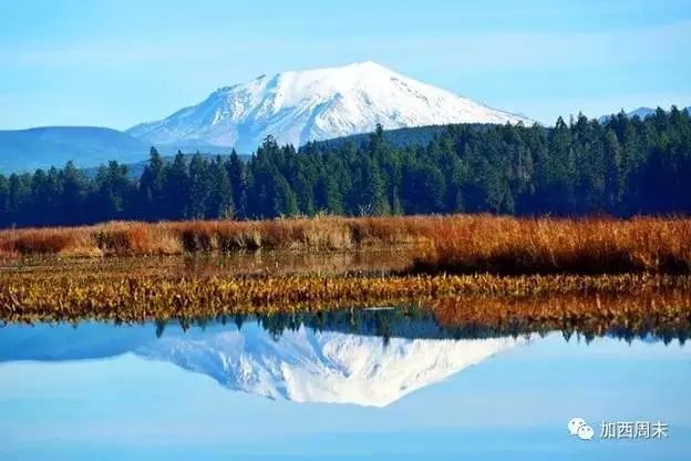 颤抖！温哥华岛又地震！10天9震 大温人最爱的Baker火山随时爆发