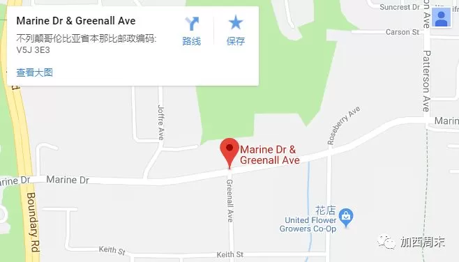 疯了！Marine Dr上连撞3人！奈桥上有人跳桥！男子惨死当场