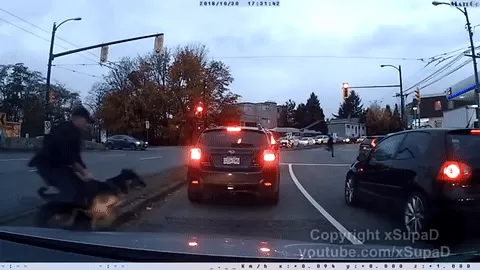 惊！温哥华闹市警匪大战！大批警员、警车、警犬疯狂围堵 最后竟然……