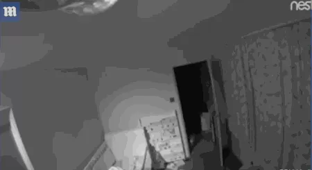 恐怖! 素里男子手机监控看家中宝宝 惊见陌生女子在地上爬……