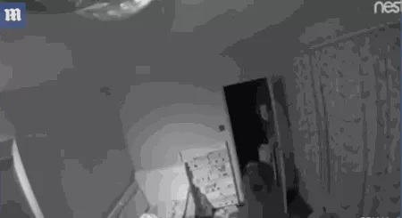 恐怖! 素里男子手机监控看家中宝宝 惊见陌生女子在地上爬……