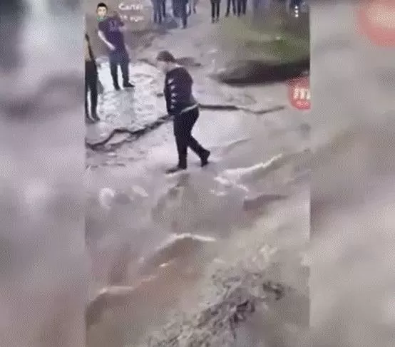 心碎! 加拿大少年惨遭霸凌 刺骨寒冬 被逼趴在泥水里当人肉踏板 视频疯传