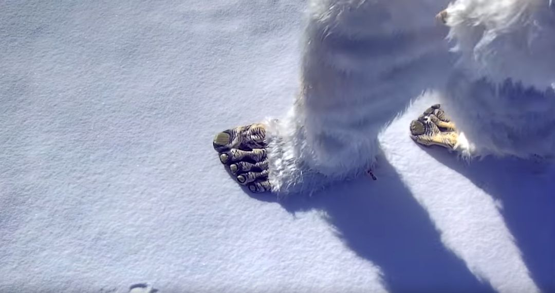 免费玩! 温哥华超大冰雪乐园本周开业! 迪士尼级别的梦幻王国 神秘又好玩