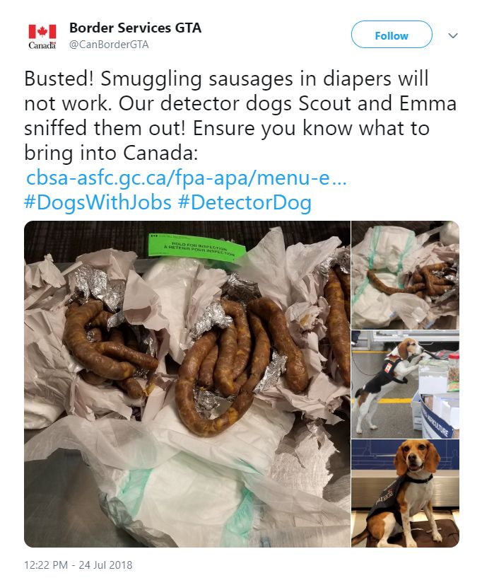华人机场接连被抓! 打开行李箱 海关瞬间傻眼…尿布藏香肠 活乌龟 佛头都有！