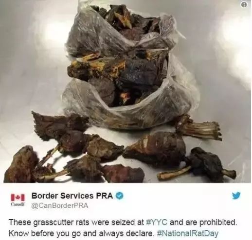 华人机场接连被抓! 打开行李箱 海关瞬间傻眼…尿布藏香肠 活乌龟 佛头都有！
