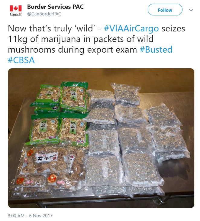 华人机场接连被抓! 打开行李箱 海关瞬间傻眼…尿布藏香肠 活乌龟 佛头都有！