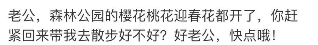马航调查组宣布解散：下辈子，无论爱与不爱，都不会再见了