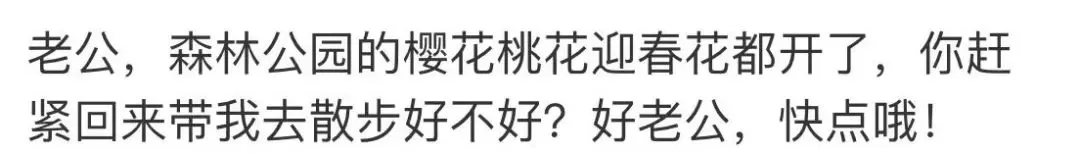 马航调查组宣布解散：下辈子，无论爱与不爱，都不会再见了