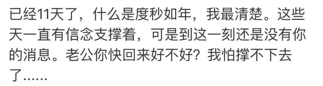 马航调查组宣布解散：下辈子，无论爱与不爱，都不会再见了