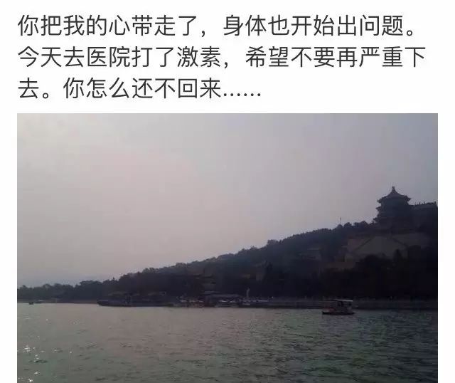 马航调查组宣布解散：下辈子，无论爱与不爱，都不会再见了
