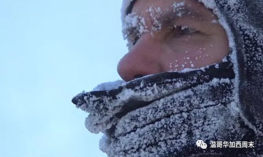 极寒天气预警! -39℃雪暴 华人区沦陷! 但这些真的暖到我了…这就是加拿大！