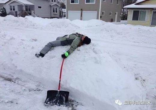 极寒天气预警! -39℃雪暴 华人区沦陷! 但这些真的暖到我了…这就是加拿大！