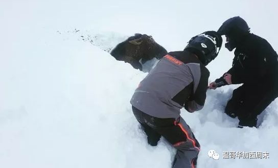 极寒天气预警! -39℃雪暴 华人区沦陷! 但这些真的暖到我了…这就是加拿大！