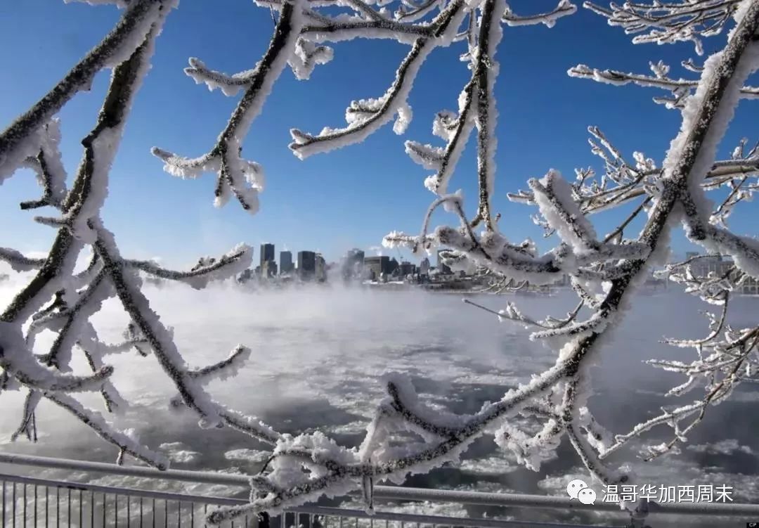 极寒天气预警! -39℃雪暴 华人区沦陷! 但这些真的暖到我了…这就是加拿大！