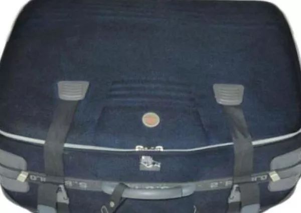 惨！华裔女子被前夫暴打致死装箱抛尸河中！作案后女儿为父亲转账近百万