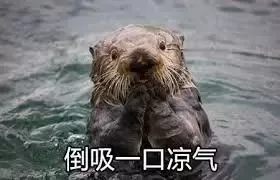 救救温哥华锦鲤吧！加拿大国宝偷吃中山公园10条锦鲤 50岁锦鲤王生死未卜