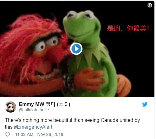 终于响了! 今天 全加拿大的手机凄厉尖叫 总裁警报炸响朋友圈 有人吓出心脏病