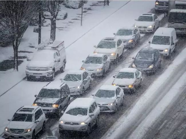 温哥华这周末要下雪 最低-4℃! 加拿大全国天寒地冻 牡鹿被冻成标本