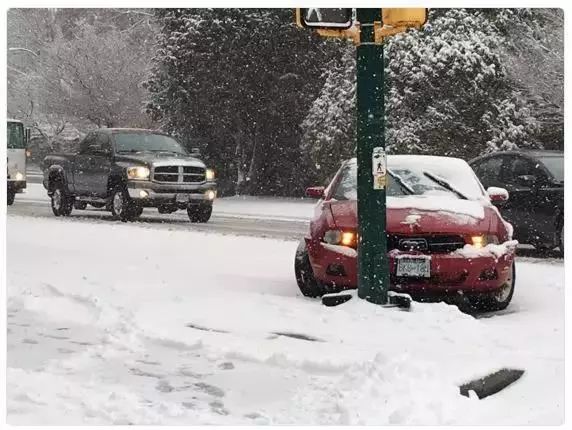 温哥华这周末要下雪 最低-4℃! 加拿大全国天寒地冻 牡鹿被冻成标本